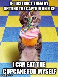 Happy Birthday Cat | IF I DISTRACT THEM BY SETTING THE CAPTION ON FIRE; I CAN EAT THE CUPCAKE FOR MYSELF | image tagged in happy birthday cat | made w/ Imgflip meme maker