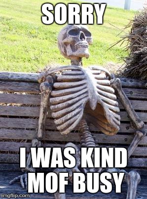 Waiting Skeleton | SORRY; I WAS KIND MOF BUSY | image tagged in memes,waiting skeleton | made w/ Imgflip meme maker
