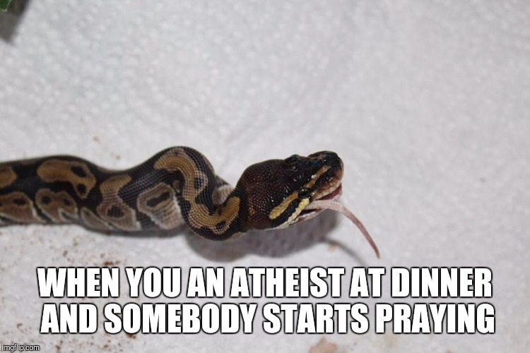 WHEN YOU AN ATHEIST AT DINNER AND SOMEBODY STARTS PRAYING | image tagged in snek slurp ball python feeding eating mouse | made w/ Imgflip meme maker