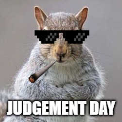 Squirrel of Judgement | JUDGEMENT DAY | image tagged in squirrel,judgement,thug life,day,reckoning,showdown | made w/ Imgflip meme maker