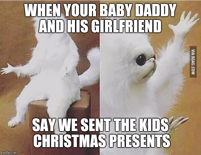 Confused Monkey / Cat | WHEN YOUR BABY DADDY AND HIS GIRLFRIEND; SAY WE SENT THE KIDS CHRISTMAS PRESENTS | image tagged in confused monkey / cat | made w/ Imgflip meme maker