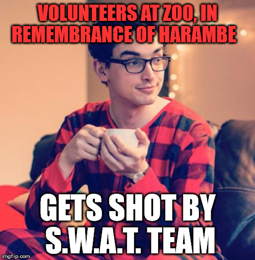 Pajama Boy | VOLUNTEERS AT ZOO, IN REMEMBRANCE OF HARAMBE; GETS SHOT BY S.W.A.T. TEAM | image tagged in pajama boy,memes,politics,political meme,harambe | made w/ Imgflip meme maker