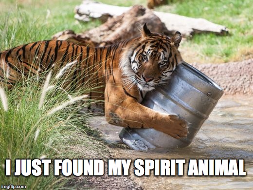I JUST FOUND MY SPIRIT ANIMAL | image tagged in tiger saving a keg | made w/ Imgflip meme maker