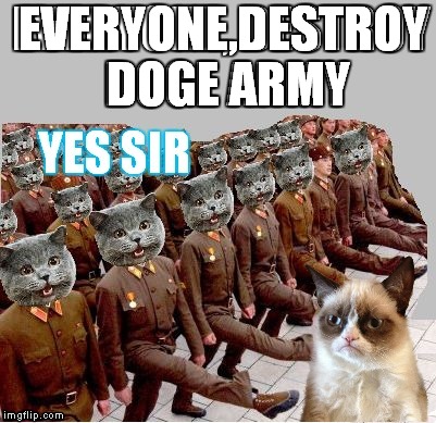 EVERYONE,DESTROY DOGE ARMY | made w/ Imgflip meme maker