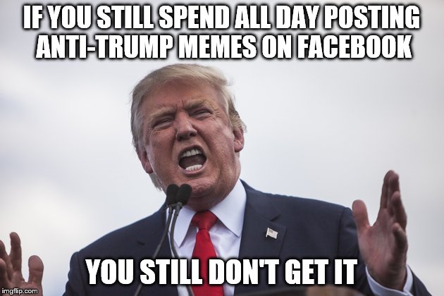 IF YOU STILL SPEND ALL DAY POSTING ANTI-TRUMP MEMES ON FACEBOOK; YOU STILL DON'T GET IT | image tagged in donald trump | made w/ Imgflip meme maker