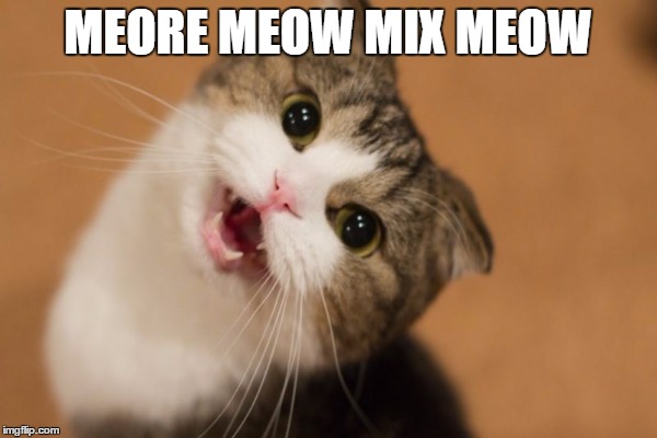 MEORE MEOW MIX MEOW | made w/ Imgflip meme maker