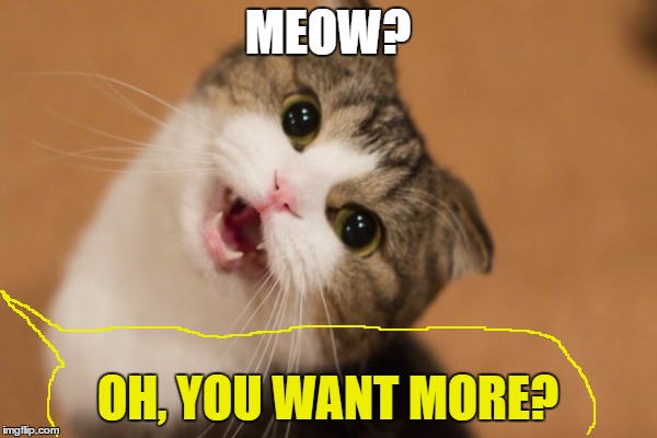 MEOW? OH, YOU WANT MORE? | made w/ Imgflip meme maker