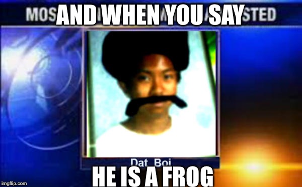 AND WHEN YOU SAY; HE IS A FROG | image tagged in dat boi | made w/ Imgflip meme maker