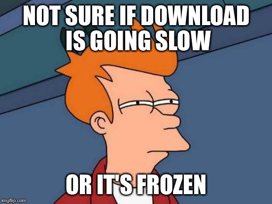 Futurama Fry Meme | NOT SURE IF DOWNLOAD IS GOING SLOW; OR IT'S FROZEN | image tagged in memes,futurama fry | made w/ Imgflip meme maker