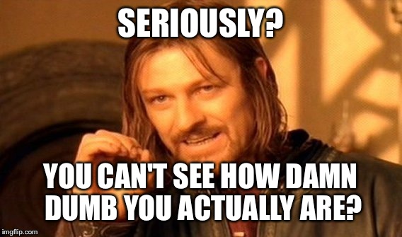 One Does Not Simply Meme | SERIOUSLY? YOU CAN'T SEE HOW DAMN DUMB YOU ACTUALLY ARE? | image tagged in memes,one does not simply | made w/ Imgflip meme maker