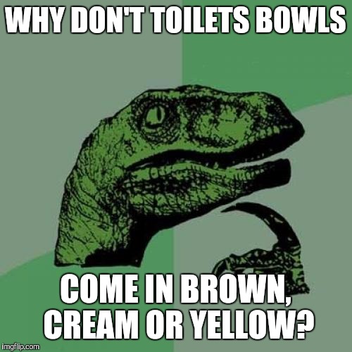 Philosoraptor Meme | WHY DON'T TOILETS BOWLS; COME IN BROWN, CREAM OR YELLOW? | image tagged in memes,philosoraptor | made w/ Imgflip meme maker