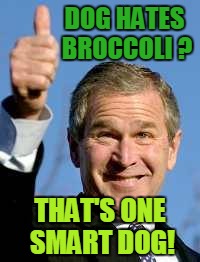 George Bush Happy | DOG HATES BROCCOLI ? THAT'S ONE SMART DOG! | image tagged in george bush happy | made w/ Imgflip meme maker