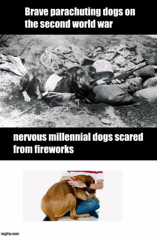 image tagged in millennial doggos | made w/ Imgflip meme maker