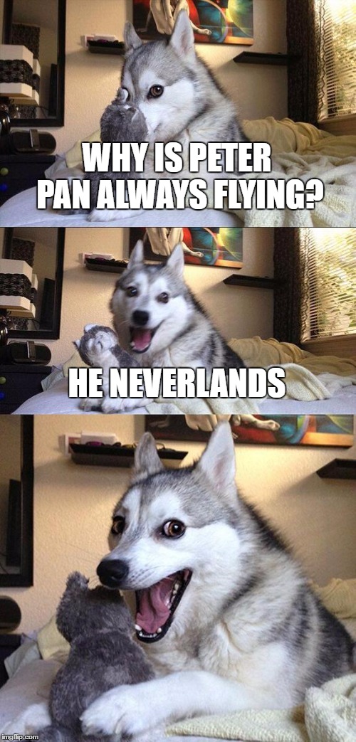 Bad Pun Dog | WHY IS PETER PAN ALWAYS FLYING? HE NEVERLANDS | image tagged in memes,bad pun dog | made w/ Imgflip meme maker