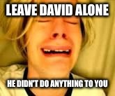 Leave Britney alone | LEAVE DAVID ALONE; HE DIDN'T DO ANYTHING TO YOU | image tagged in leave britney alone | made w/ Imgflip meme maker