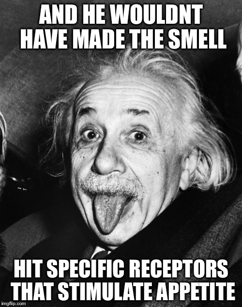 Einstein | AND HE WOULDNT HAVE MADE THE SMELL HIT SPECIFIC RECEPTORS THAT STIMULATE APPETITE | image tagged in einstein | made w/ Imgflip meme maker
