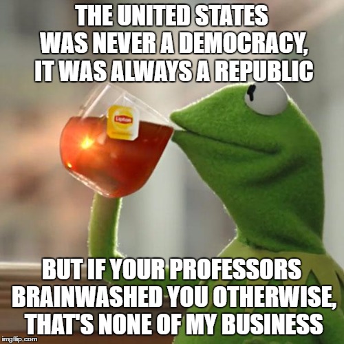 But That's None Of My Business Meme | THE UNITED STATES WAS NEVER A DEMOCRACY, IT WAS ALWAYS A REPUBLIC BUT IF YOUR PROFESSORS BRAINWASHED YOU OTHERWISE, THAT'S NONE OF MY BUSINE | image tagged in memes,but thats none of my business,kermit the frog | made w/ Imgflip meme maker