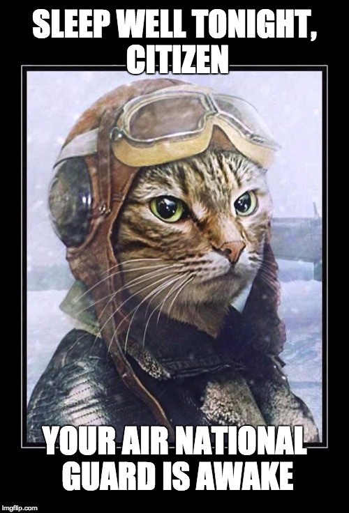 Night Fighter | SLEEP WELL TONIGHT, CITIZEN; YOUR AIR NATIONAL GUARD IS AWAKE | image tagged in aero cat,air national guard,america,cat | made w/ Imgflip meme maker
