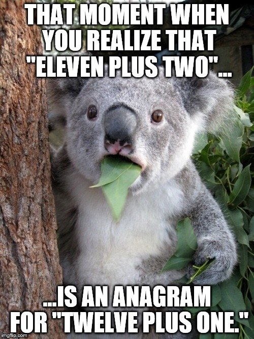 13 anyway you spell it. | THAT MOMENT WHEN YOU REALIZE THAT "ELEVEN PLUS TWO"... ...IS AN ANAGRAM FOR "TWELVE PLUS ONE." | image tagged in memes,surprised coala | made w/ Imgflip meme maker