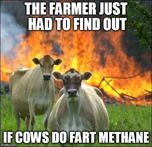 Evil Cows | THE FARMER JUST HAD TO FIND OUT; IF COWS DO FART METHANE | image tagged in memes,evil cows | made w/ Imgflip meme maker