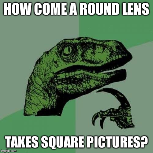 Philosoraptor Meme | HOW COME A ROUND LENS; TAKES SQUARE PICTURES? | image tagged in memes,philosoraptor | made w/ Imgflip meme maker