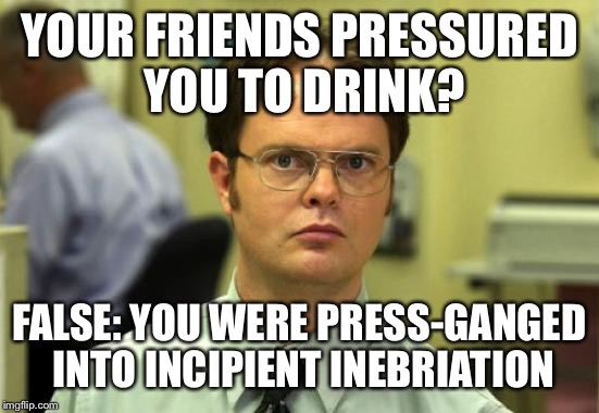 Dwight Schrute Meme | YOUR FRIENDS PRESSURED YOU TO DRINK? FALSE:
YOU WERE PRESS-GANGED INTO INCIPIENT INEBRIATION | image tagged in memes,dwight schrute | made w/ Imgflip meme maker