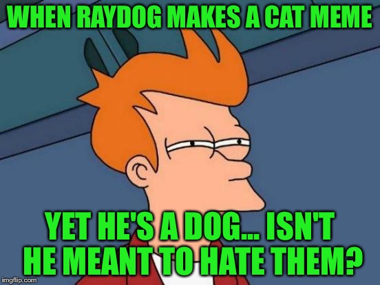 Futurama Fry | WHEN RAYDOG MAKES A CAT MEME; YET HE'S A DOG... ISN'T HE MEANT TO HATE THEM? | image tagged in memes,futurama fry | made w/ Imgflip meme maker