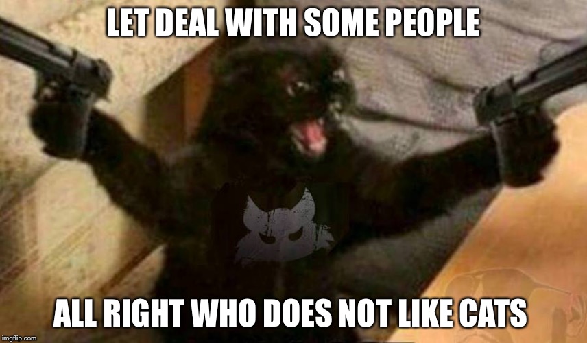Cat With Guns | LET DEAL WITH SOME PEOPLE; ALL RIGHT WHO DOES NOT LIKE CATS | image tagged in cat with guns | made w/ Imgflip meme maker