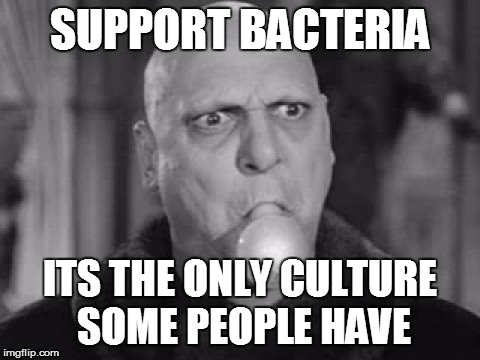 Uncle Fester | SUPPORT BACTERIA; ITS THE ONLY CULTURE SOME PEOPLE HAVE | image tagged in uncle fester | made w/ Imgflip meme maker