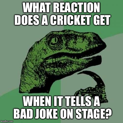 Philosoraptor | WHAT REACTION DOES A CRICKET GET; WHEN IT TELLS A BAD JOKE ON STAGE? | image tagged in memes,philosoraptor | made w/ Imgflip meme maker