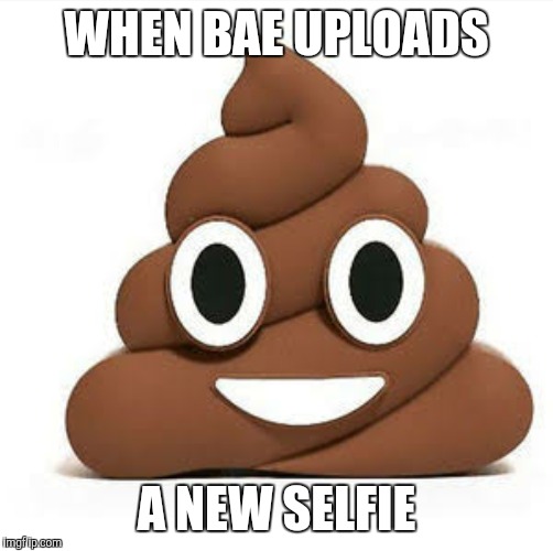 When bae uploads a new selfie | WHEN BAE UPLOADS; A NEW SELFIE | image tagged in bae,pun,selfie,poop,funny,sarcasam | made w/ Imgflip meme maker