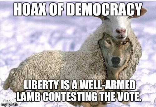 Wolf In Sheeps Clothing | HOAX OF DEMOCRACY; LIBERTY IS A WELL-ARMED LAMB CONTESTING THE VOTE. | image tagged in wolf in sheeps clothing | made w/ Imgflip meme maker