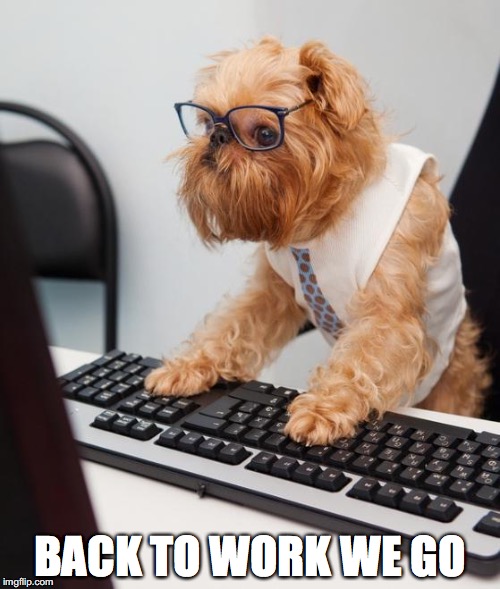 work dog | BACK TO WORK WE GO | image tagged in work dog | made w/ Imgflip meme maker