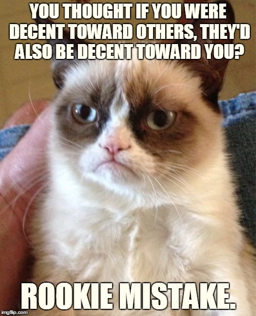 No good deed goes unpunished. | YOU THOUGHT IF YOU WERE DECENT TOWARD OTHERS, THEY'D ALSO BE DECENT TOWARD YOU? ROOKIE MISTAKE. | image tagged in memes,grumpy cat,grumposophy 101 | made w/ Imgflip meme maker