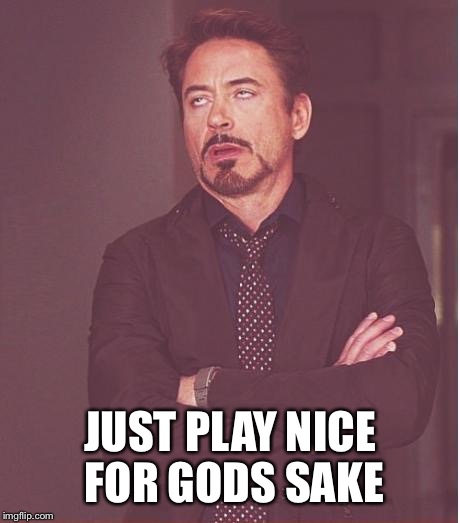 Face You Make Robert Downey Jr Meme | JUST PLAY NICE FOR GODS SAKE | image tagged in memes,face you make robert downey jr | made w/ Imgflip meme maker
