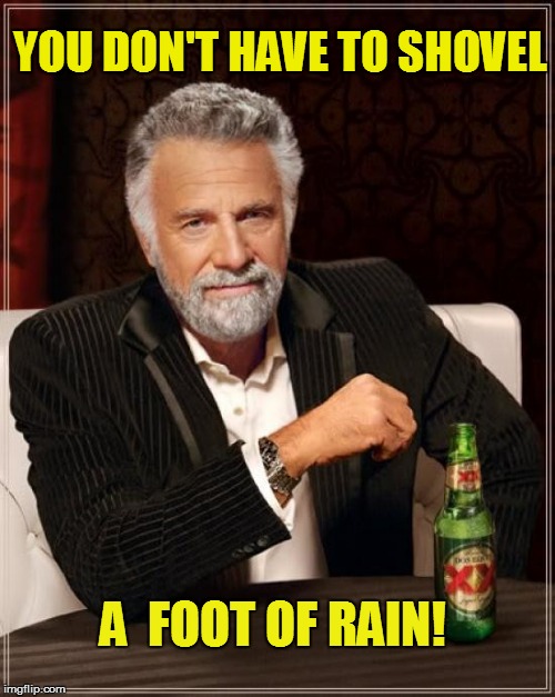 The Most Interesting Man In The World Meme | YOU DON'T HAVE TO SHOVEL A  FOOT OF RAIN! | image tagged in memes,the most interesting man in the world | made w/ Imgflip meme maker