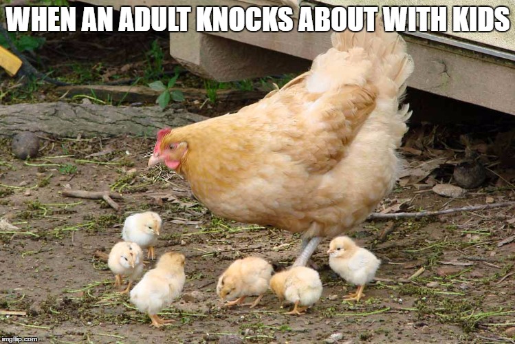 An adult who hangs with kids is called a hen with chicks | WHEN AN ADULT KNOCKS ABOUT WITH KIDS | image tagged in hen with chicks,memes,funny memes,new words | made w/ Imgflip meme maker
