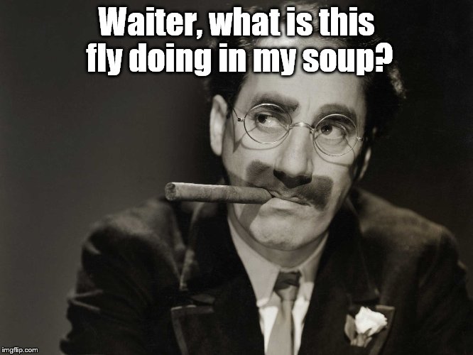 Thoughtful Groucho | Waiter, what is this fly doing in my soup? | image tagged in thoughtful groucho | made w/ Imgflip meme maker
