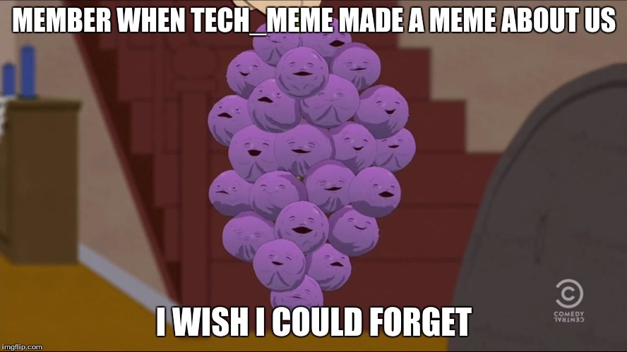 Member Berries Meme | MEMBER WHEN TECH_MEME MADE A MEME ABOUT US; I WISH I COULD FORGET | image tagged in memes,member berries | made w/ Imgflip meme maker