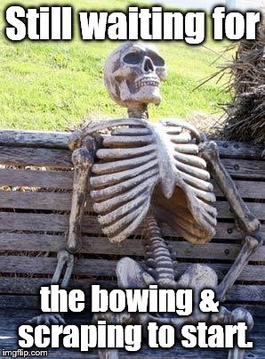 Waiting Skeleton Meme | Still waiting for the bowing &  scraping to start. | image tagged in memes,waiting skeleton | made w/ Imgflip meme maker