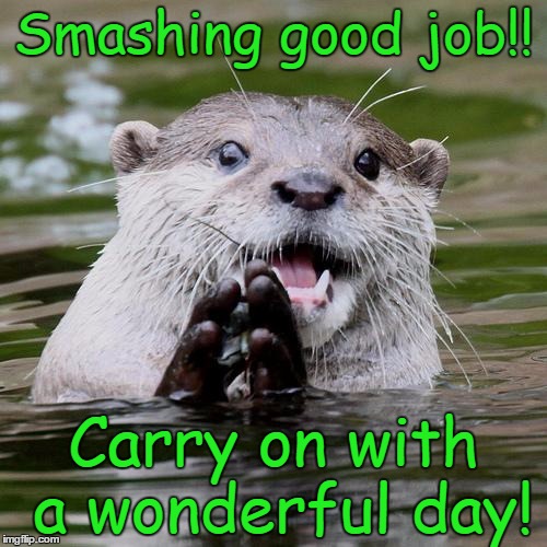 Otter | Smashing good job!! Carry on with a wonderful day! | image tagged in otter | made w/ Imgflip meme maker