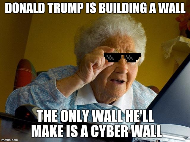 Grandma Finds The Internet | DONALD TRUMP IS BUILDING A WALL; THE ONLY WALL HE'LL MAKE IS A CYBER WALL | image tagged in memes,grandma finds the internet | made w/ Imgflip meme maker
