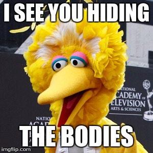 Big Bird |  I SEE YOU HIDING; THE BODIES | image tagged in memes,big bird | made w/ Imgflip meme maker