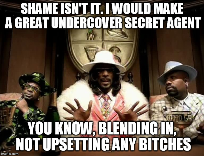 Style | SHAME ISN'T IT. I WOULD MAKE A GREAT UNDERCOVER SECRET AGENT YOU KNOW, BLENDING IN, NOT UPSETTING ANY B**CHES | image tagged in style | made w/ Imgflip meme maker