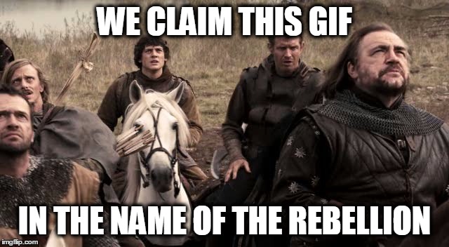 WE CLAIM THIS GIF IN THE NAME OF THE REBELLION | made w/ Imgflip meme maker