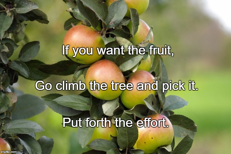Fruits | If you want the fruit, Go climb the tree and pick it. Put forth the effort. | image tagged in fruits | made w/ Imgflip meme maker