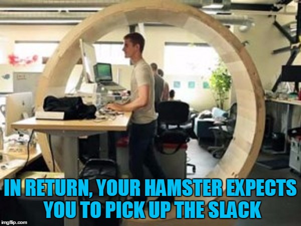 IN RETURN, YOUR HAMSTER EXPECTS YOU TO PICK UP THE SLACK | made w/ Imgflip meme maker