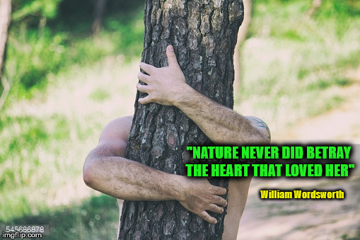 "NATURE NEVER DID BETRAY THE HEART THAT LOVED HER"; William Wordsworth | image tagged in nature | made w/ Imgflip meme maker