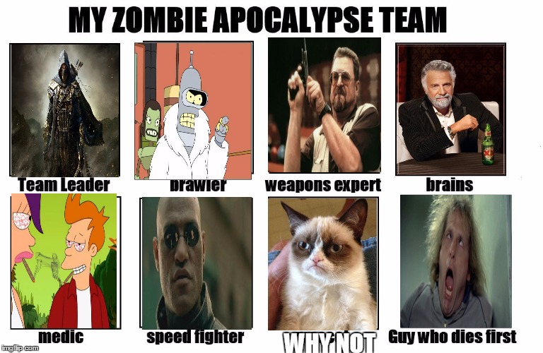 My Zombie Apocalypse Team | WHY NOT | image tagged in my zombie apocalypse team | made w/ Imgflip meme maker