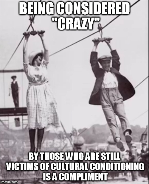 crazy couple pwns | BEING CONSIDERED "CRAZY"; BY THOSE WHO ARE STILL VICTIMS OF CULTURAL CONDITIONING IS A COMPLIMENT | image tagged in zip line couple,vegan,veganism,vegan4life | made w/ Imgflip meme maker